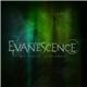 Evanescence - My Heart Is Broken